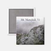 De heer Mansfield, VT Magneet (Voorkant / Achterkant)