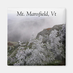 De heer Mansfield, VT Magneet