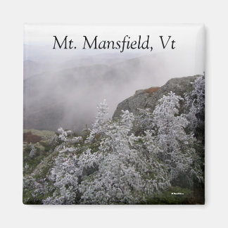 De heer Mansfield, VT Magneet