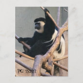 de heer Monkey Briefkaart (Voorkant)