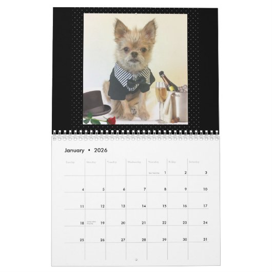 De heer Monks 2017 Agenda Kalender (Jan 2026)