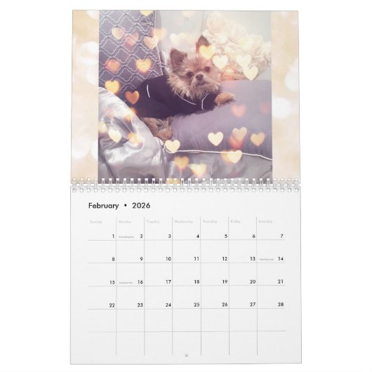 De heer Monks 2019 Agenda Kalender (Feb 2026)