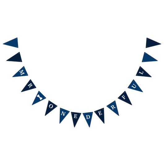 de heer Onederful Birthday Banner (Alle)