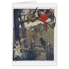 de heer Owl geeft een partij