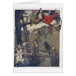 de heer Owl geeft een partij