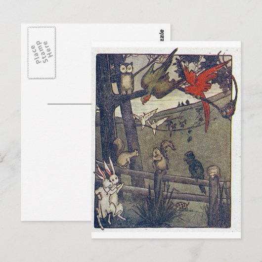 de heer Owl geeft een partij Briefkaart (Voorkant / Achterkant)