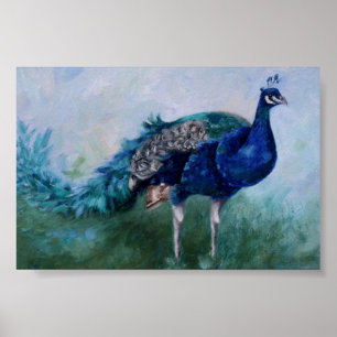 de heer Peacock Poster