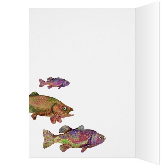 DE HEER PELICAN VIST (Binnen (Links))