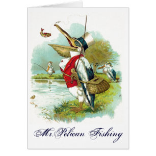 DE HEER PELICAN VIST