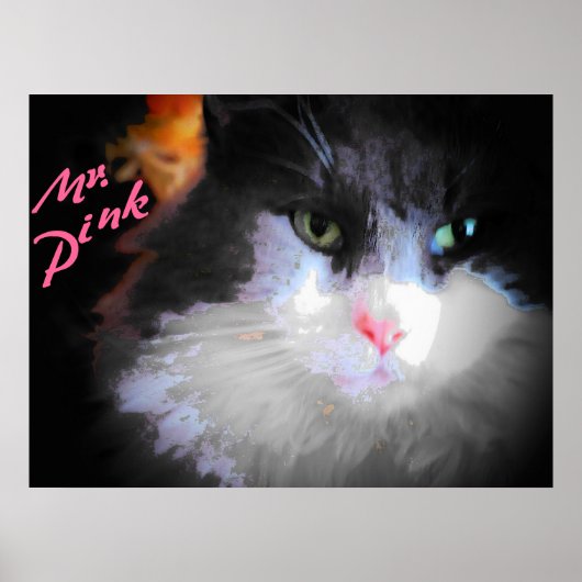 De heer Pink van djoneill Poster (Voorkant)
