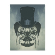 De heer Pug op een kaart