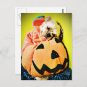 de heer Puppy Pumpkin Briefkaart (Voorkant / Achterkant)