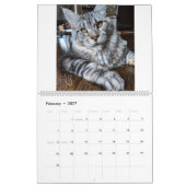 de heer Puppy-Socks Calendar Kalender (Feb 2027)