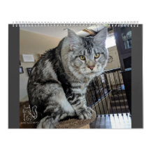 de heer Puppy-Socks Calendar