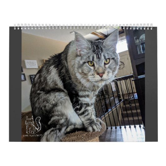 de heer Puppy-Socks Calendar Kalender (Hoes)