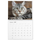 de heer Puppy-Socks Calendar Kalender (Jan 2027)