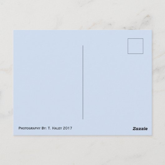 De heer Rainier Washington State Briefkaart (Achterkant)