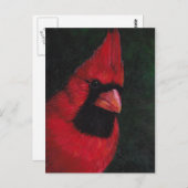 de heer Red Cardinas Bird Art Briefkaart (Voorkant / Achterkant)