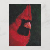 de heer Red Cardinas Bird Art Briefkaart (Voorkant)