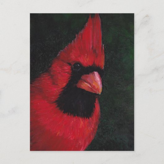 de heer Red Cardinas Bird Art Briefkaart (Voorkant)