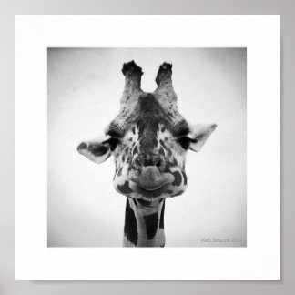 de heer Serious Giraffe Black and White Photograph Poster