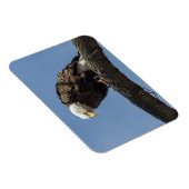 de heer Serious Magneet (Rechterzijde)