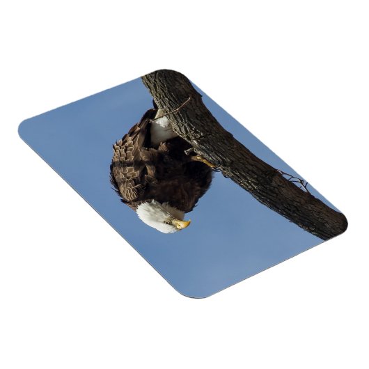 de heer Serious Magneet (Rechterzijde)