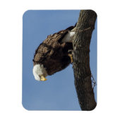 de heer Serious Magneet (Verticaal)