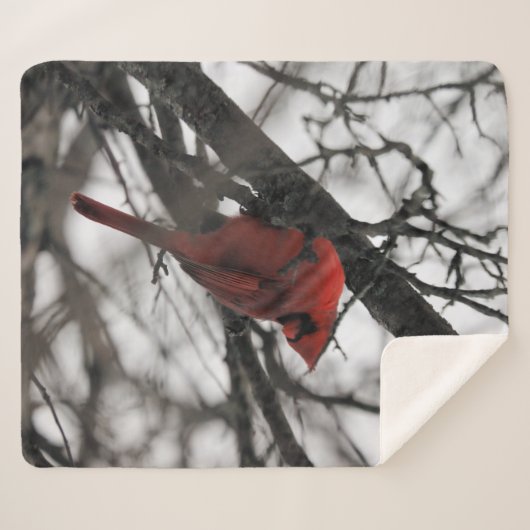 De heer sherpa deken (Voorkant (horizontaal))