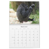 de heer Silverback Kalender (Mar 2027)