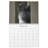 de heer Silverback Kalender (Feb 2027)