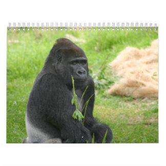 de heer Silverback Kalender