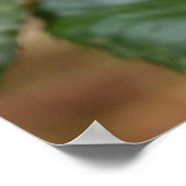 de heer Snagels Poster (Hoek)