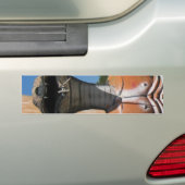 De heer Snake AKA Cobra Head ... Boeddhistische he Bumpersticker (Op auto)