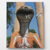 De heer Snake AKA Cobra Head ... Boeddhistische he Fotoplaat (Voorkant)