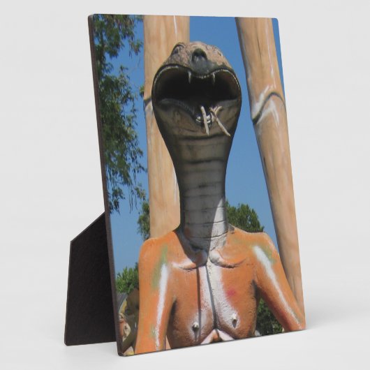 De heer Snake AKA Cobra Head ... Boeddhistische he Fotoplaat (Zijkant)