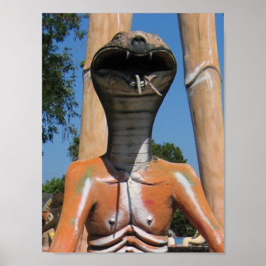 De heer Snake AKA Cobra Head ... Boeddhistische he Poster (Voorkant)