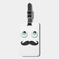 de heer stache