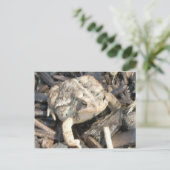 de heer Toad Briefkaart (Staand voorkant)