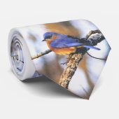 de heer Truman, Bluebird Missouri State Bird Stropdas (Opgerold)