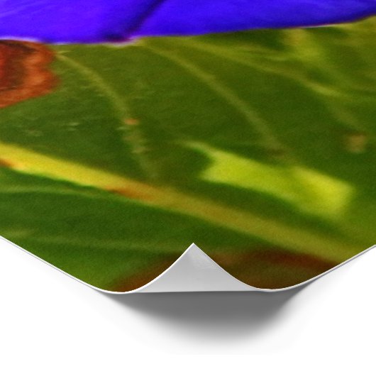 De Heer van de liefde Bijbelse herinnering Poster (Hoek)