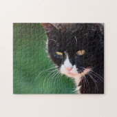 de heer Whiskers - Cat Puzzle Legpuzzel (Horizontaal)