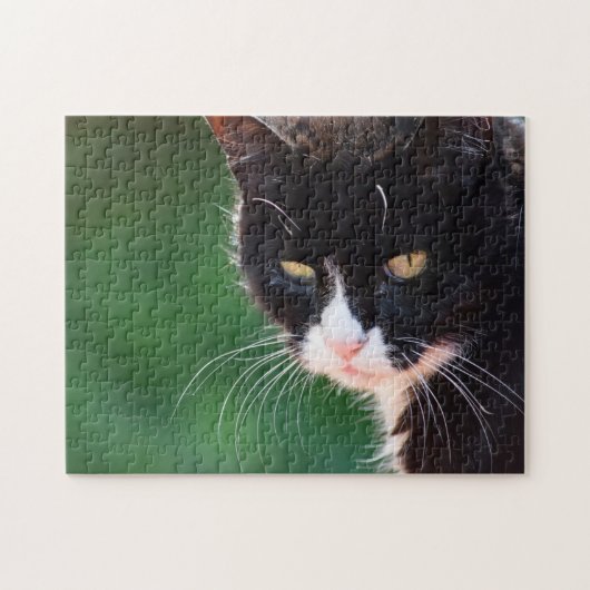 de heer Whiskers - Cat Puzzle Legpuzzel (Horizontaal)