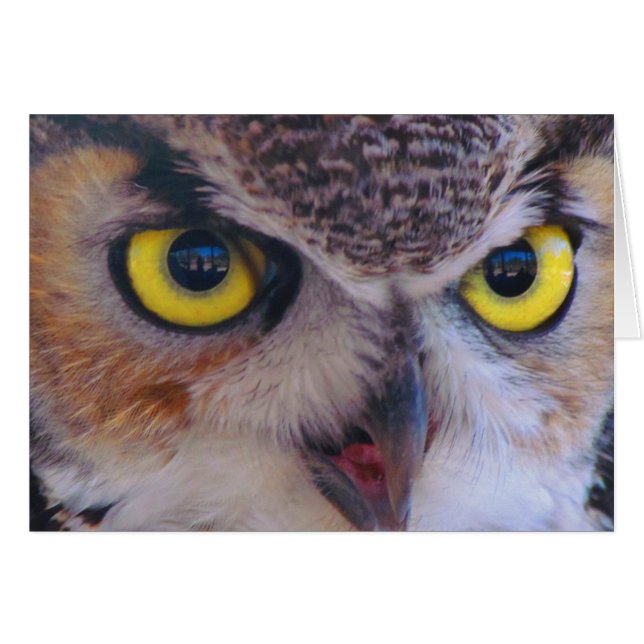 de heer Wilson Card (Voorkant Horizontaal)