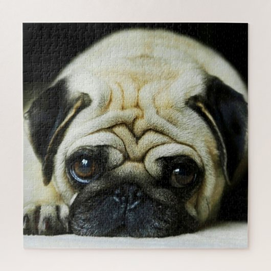 de heer Wrinkles Legpuzzel (Verticaal)