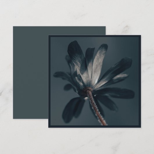 De heerlijk donkere bloem kaart (Voorkant / Achterkant)