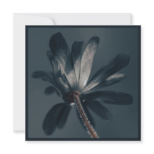 De heerlijk donkere bloem