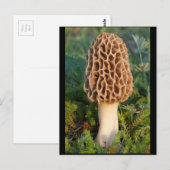 De heerlijk heerlijke morel paddenstoel briefkaart (Voorkant / Achterkant)