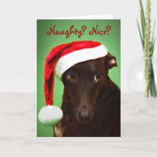 De Hefboom van de kerstman Feestdagen Kaart