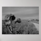 de heide in de zomer van Madrid Poster (Voorkant)